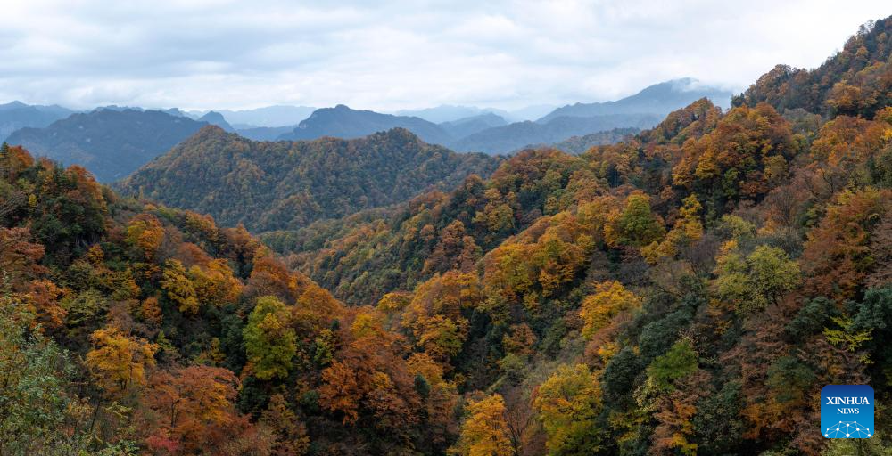 Scenery of Guangwu Mountain scenic area in Sichuan, SW China