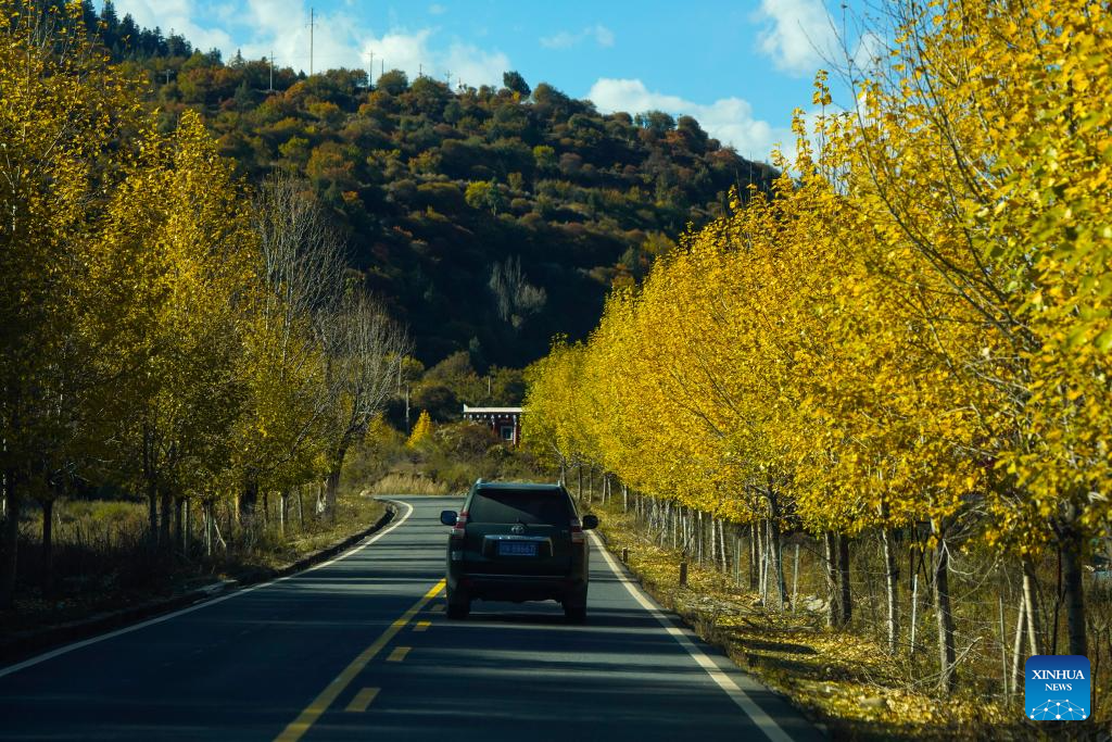 Scenery of Sichuan-Xizang highway in SW China