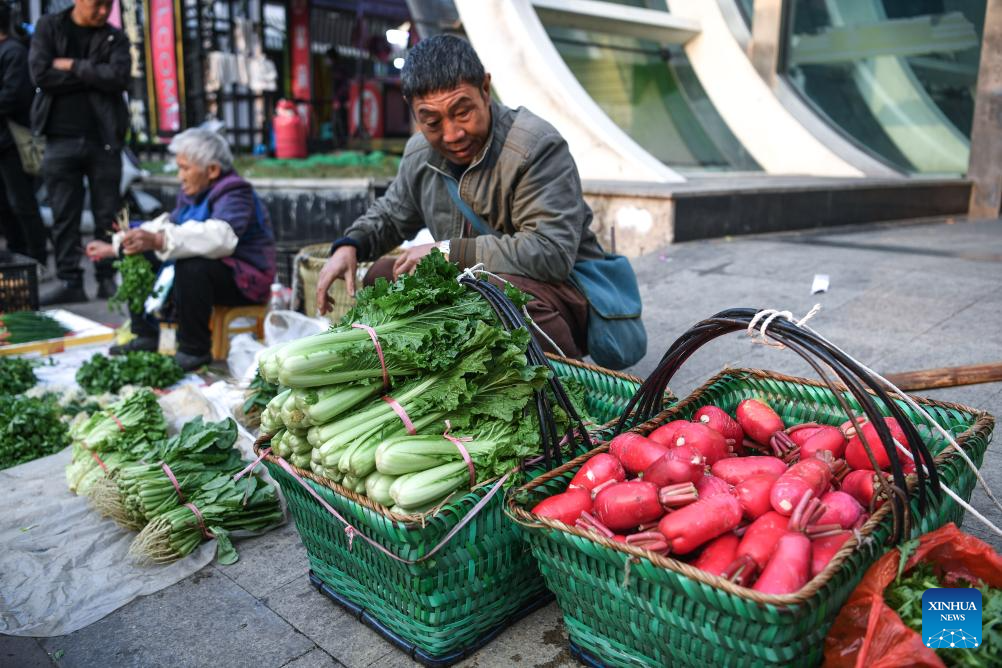 Special bus line helps villagers sell agricultural products in Guizhou