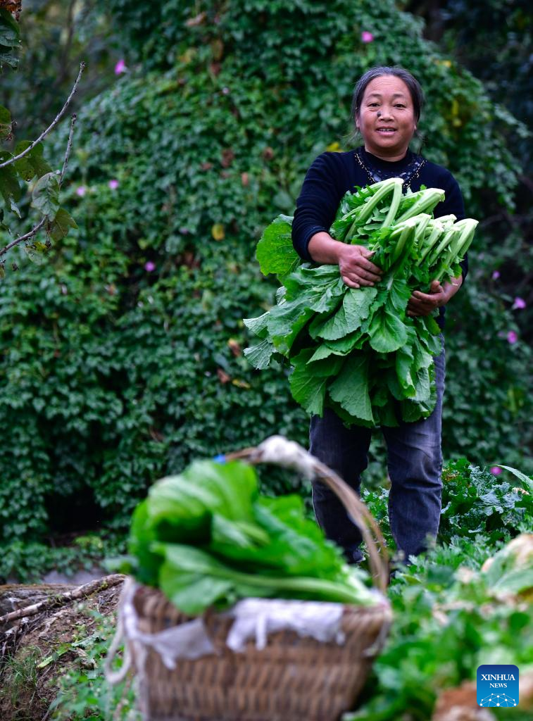 Special bus line helps villagers sell agricultural products in Guizhou