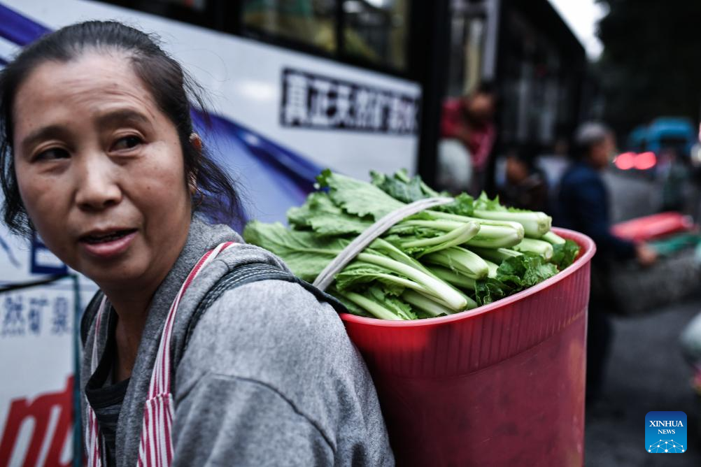 Special bus line helps villagers sell agricultural products in Guizhou