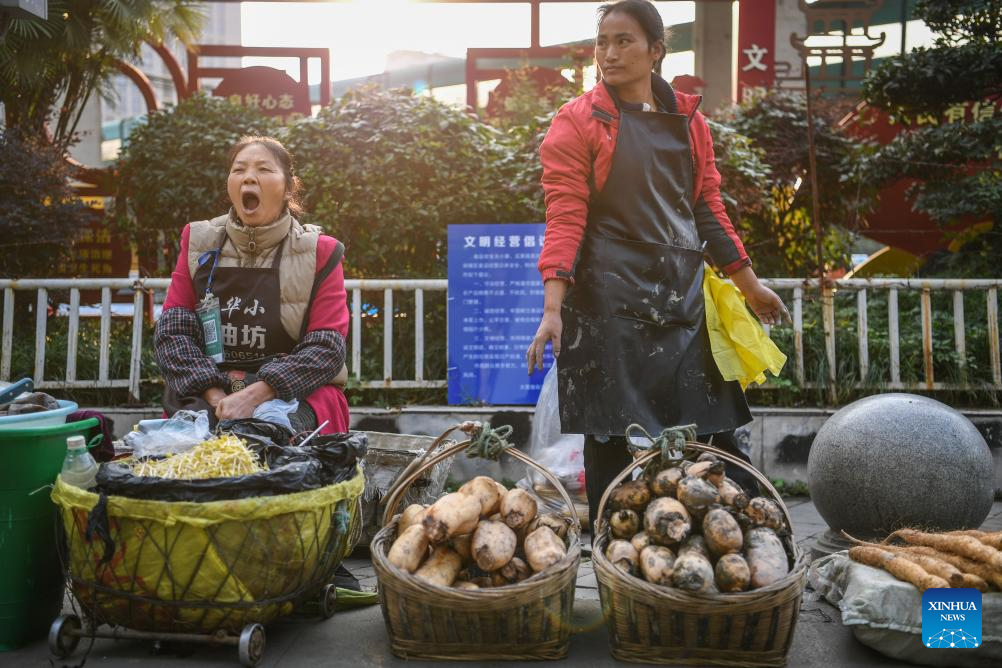 Special bus line helps villagers sell agricultural products in Guizhou