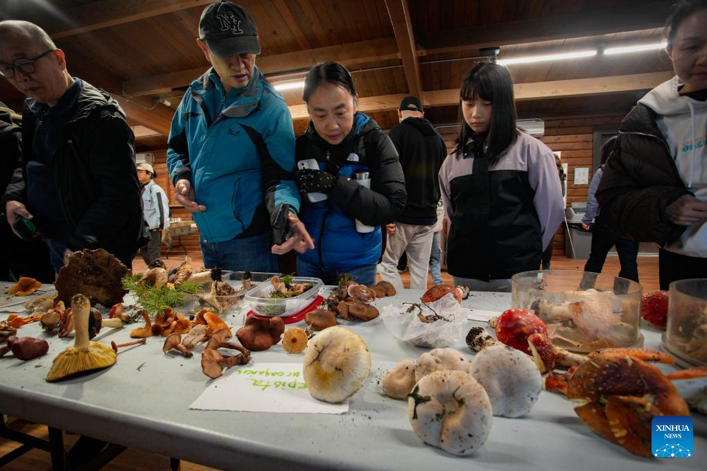 Annual mushroom show held in Richmond, Canada