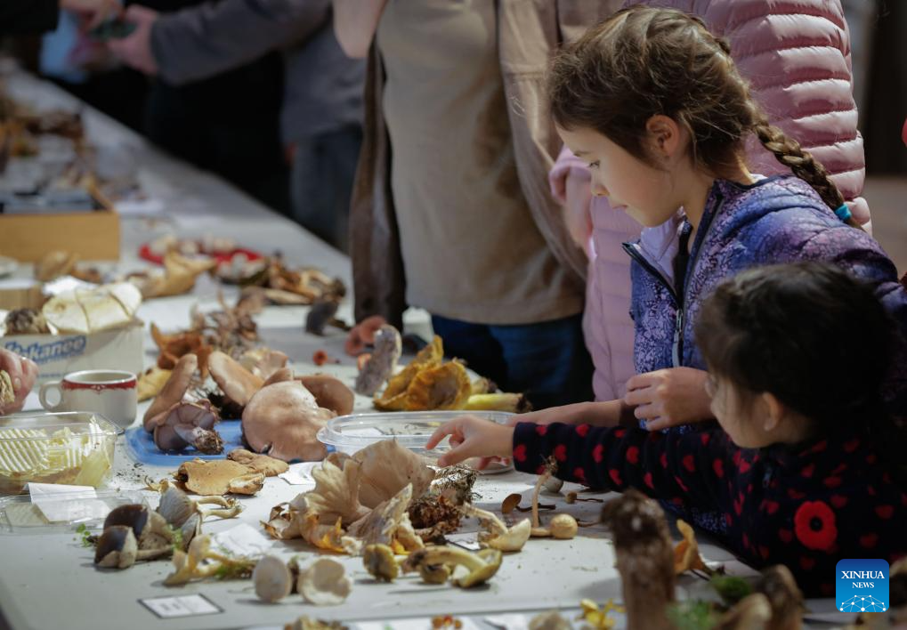 Annual mushroom show held in Richmond, Canada