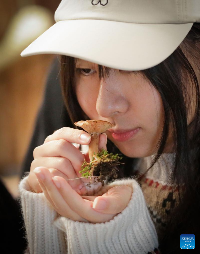 Annual mushroom show held in Richmond, Canada