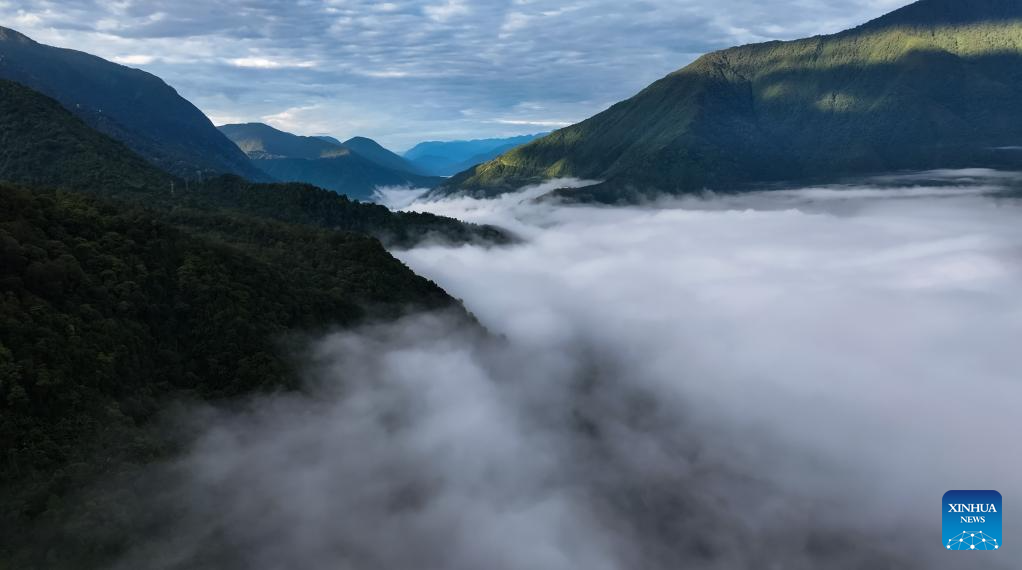 Sea of clouds seen in Medog County, SW China's Xizang