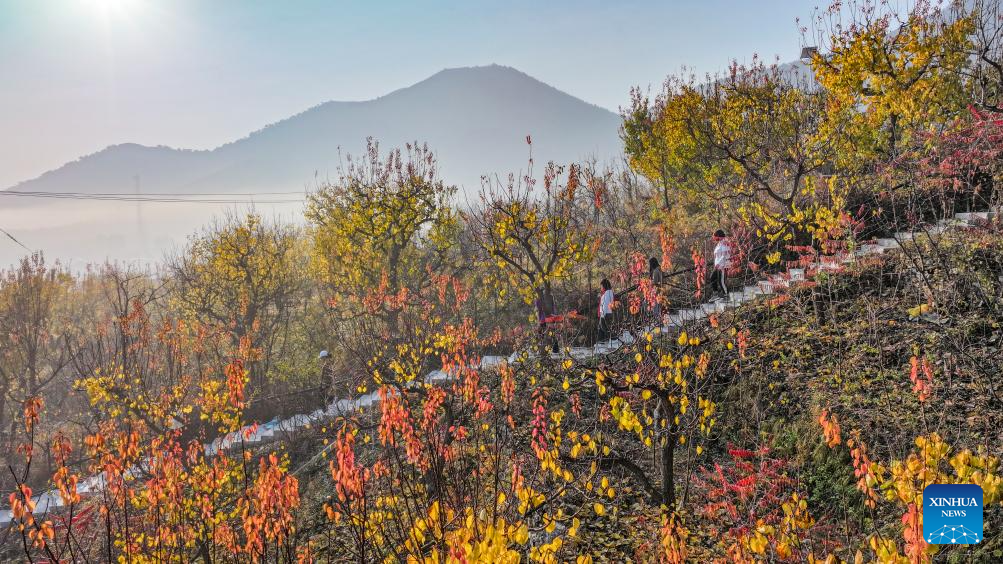 Winter scenery across China