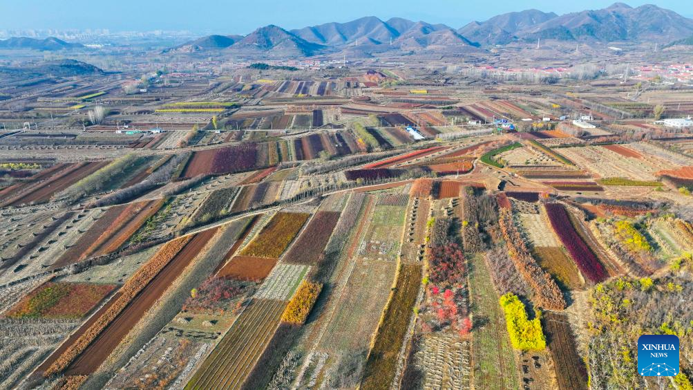 Scenery of early winter across China