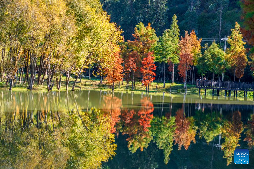 Scenery of early winter across China