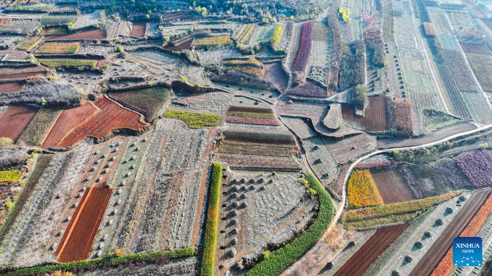 Scenery of early winter across China