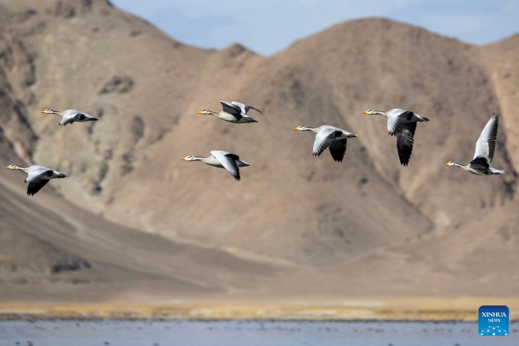 Scenery of Banggong Co in China's Xizang