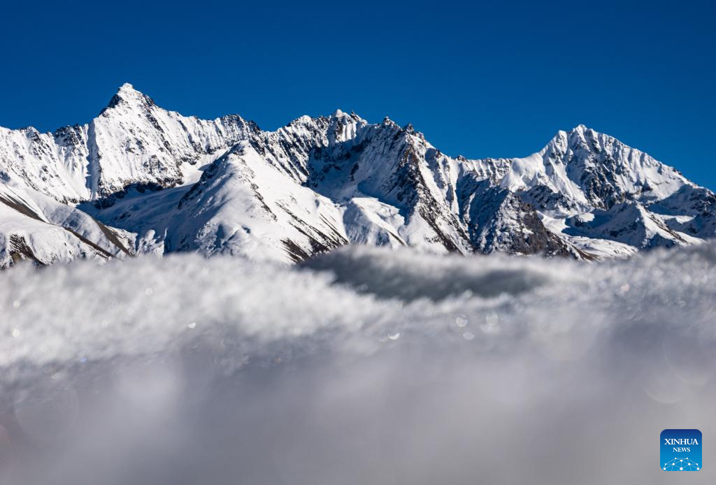 Scenery of Laigu glacier in Baxoi County, China's Xizang