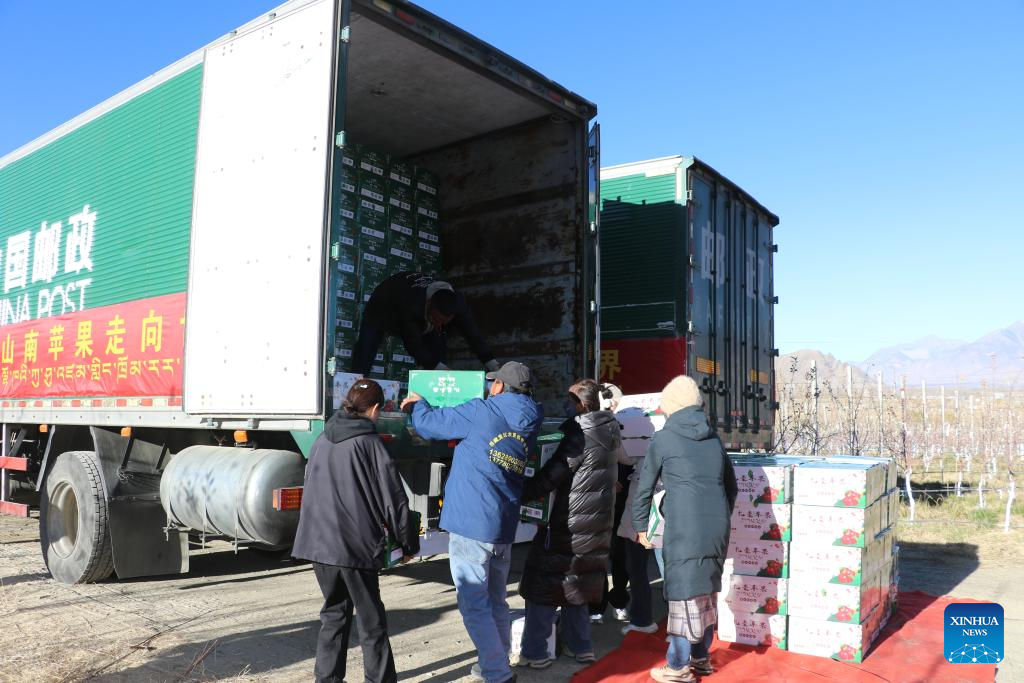 Border city in China's Xizang sends first exports