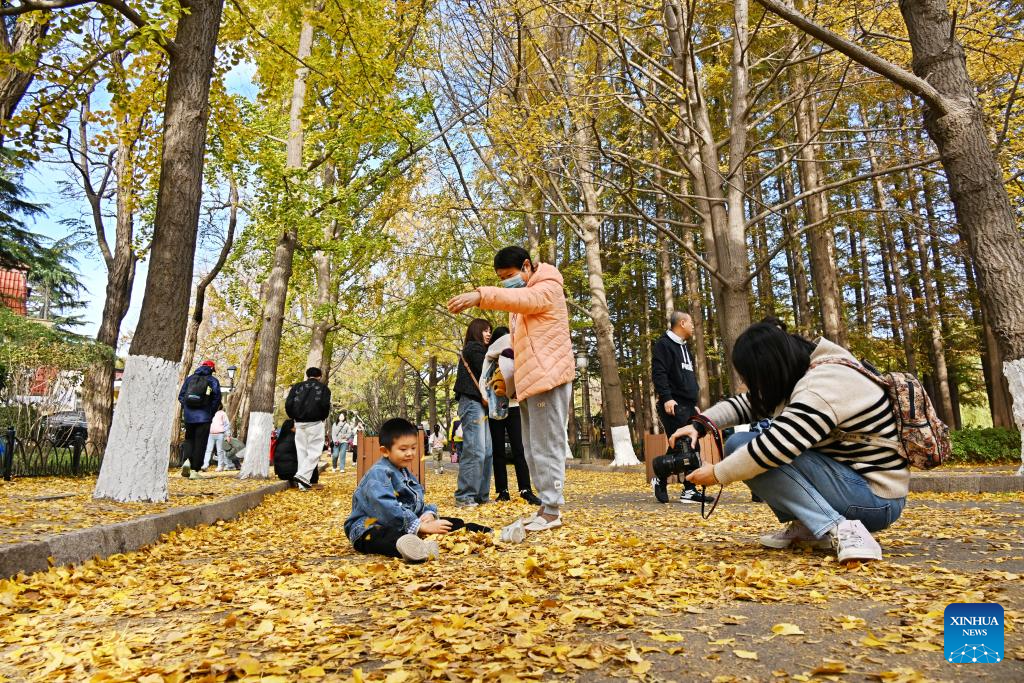 Autumn scenery of Qingdao, E China