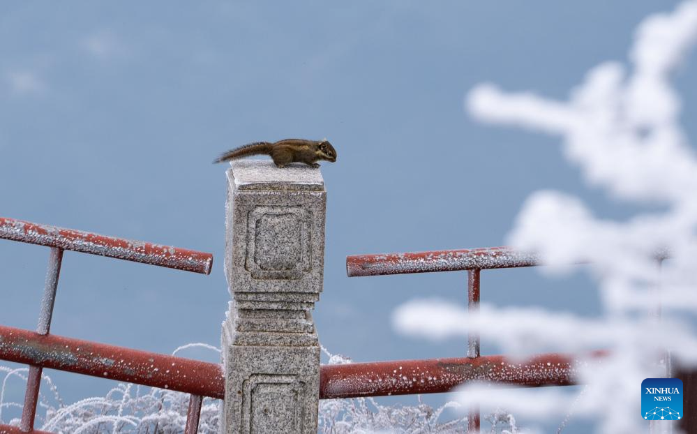 Snow scenery of Mount Emei in Sichuan, SW China