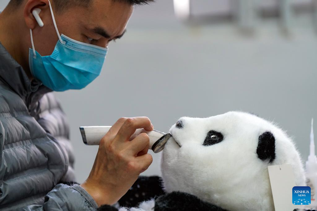 China's innovative panda toys get popular around world