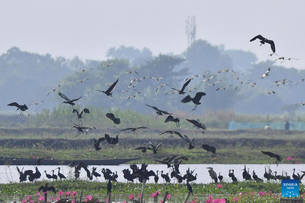 In pics: Pobitora Wildlife Sanctuary in Assam, India