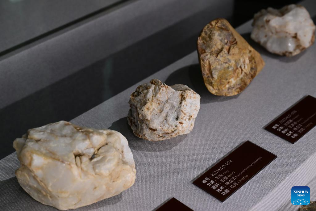 China Focus: China discovers landmark human evolution fossils