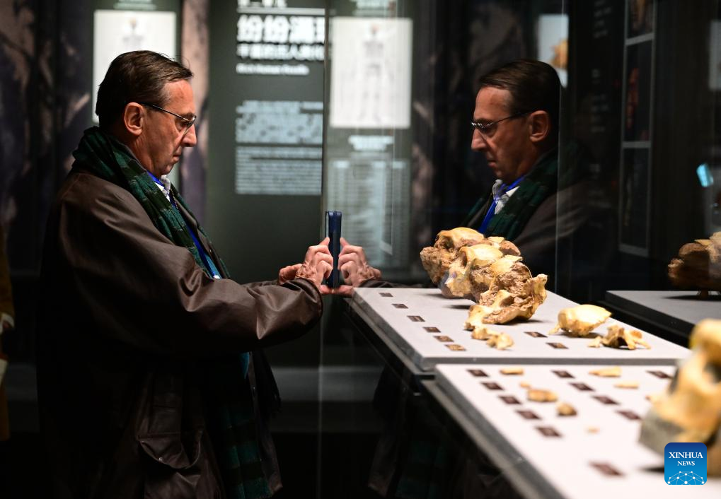 China Focus: China discovers landmark human evolution fossils