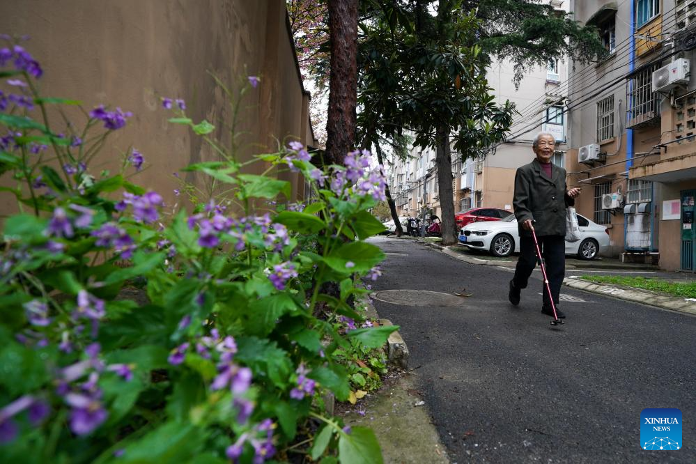 Pic story of Nanjing Massacre survivor Ai Yiying