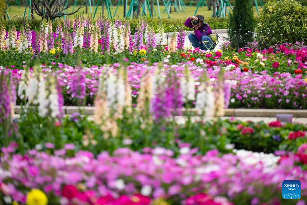 Flower show celebrating 25th anniversary of Macao's return to motherland kicks off