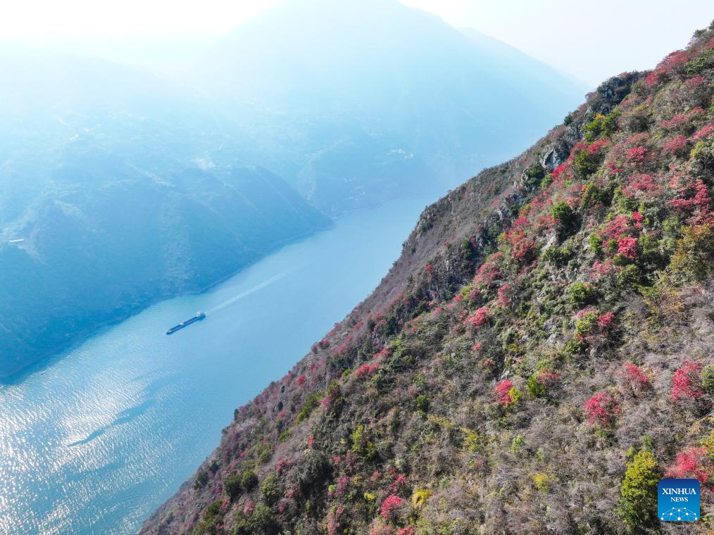 Red leaves dye mountains along Wuxia Gorge in SW China's Chongqing