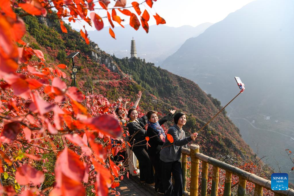 Red leaves dye mountains along Wuxia Gorge in SW China's Chongqing