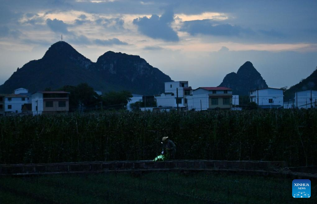 Local characteristic agriculture provides more jobs for rural women in south China's Liuzhou city