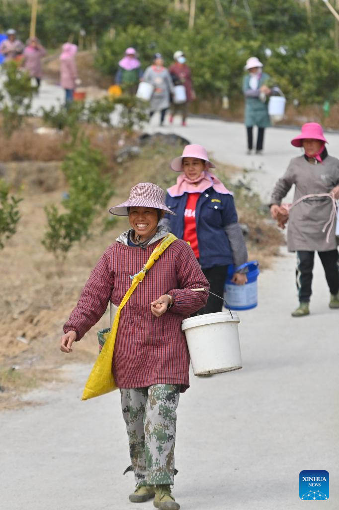 Local characteristic agriculture provides more jobs for rural women in south China's Liuzhou city