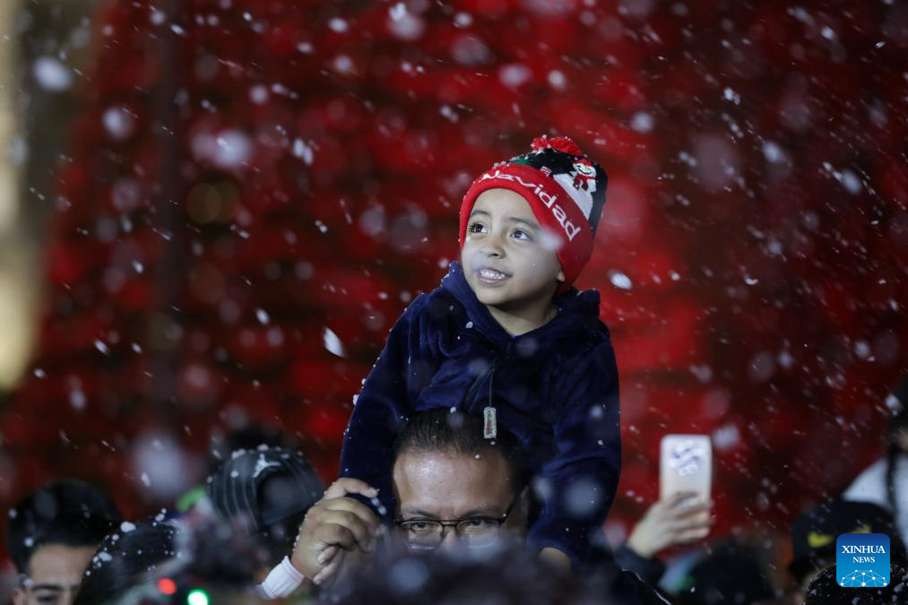 Christmas decorations seen across world