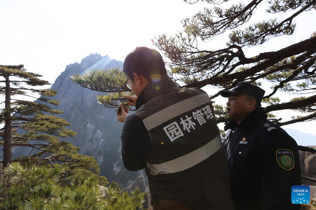 In pics: protectors of Huangshan Mountain, a world heritage site