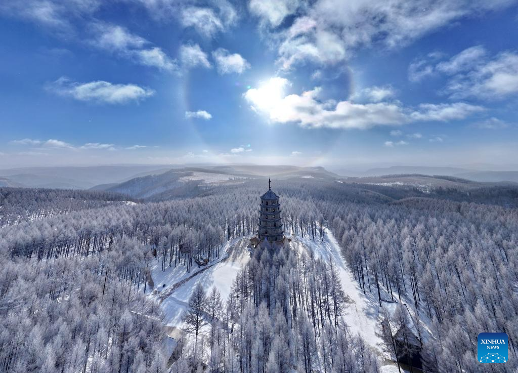 Winter view of Saihanba National Forest Park in N China