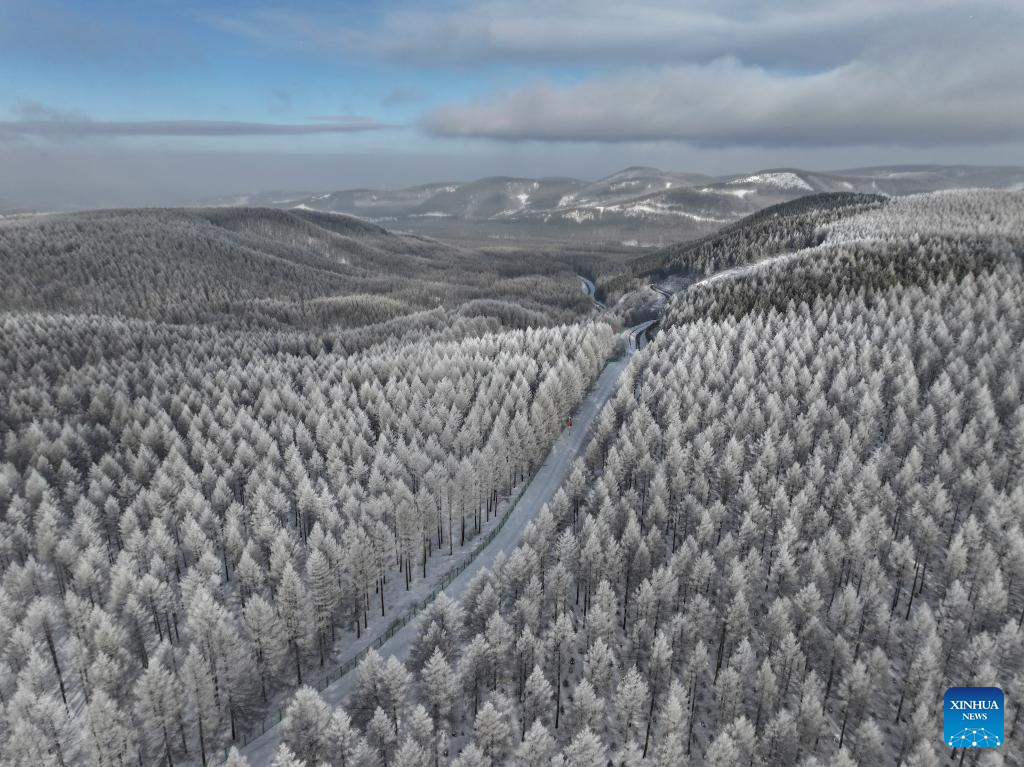 Winter view of Saihanba National Forest Park in N China