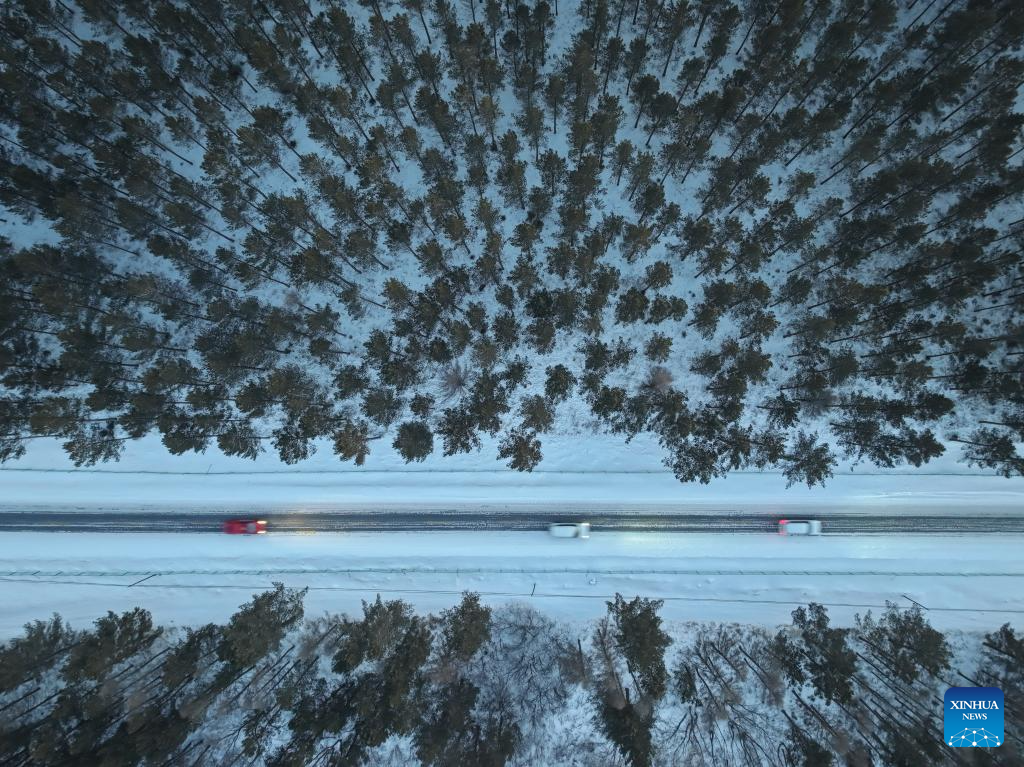 Winter view of Saihanba National Forest Park in N China