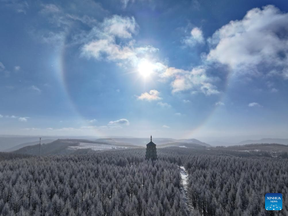 Winter view of Saihanba National Forest Park in N China