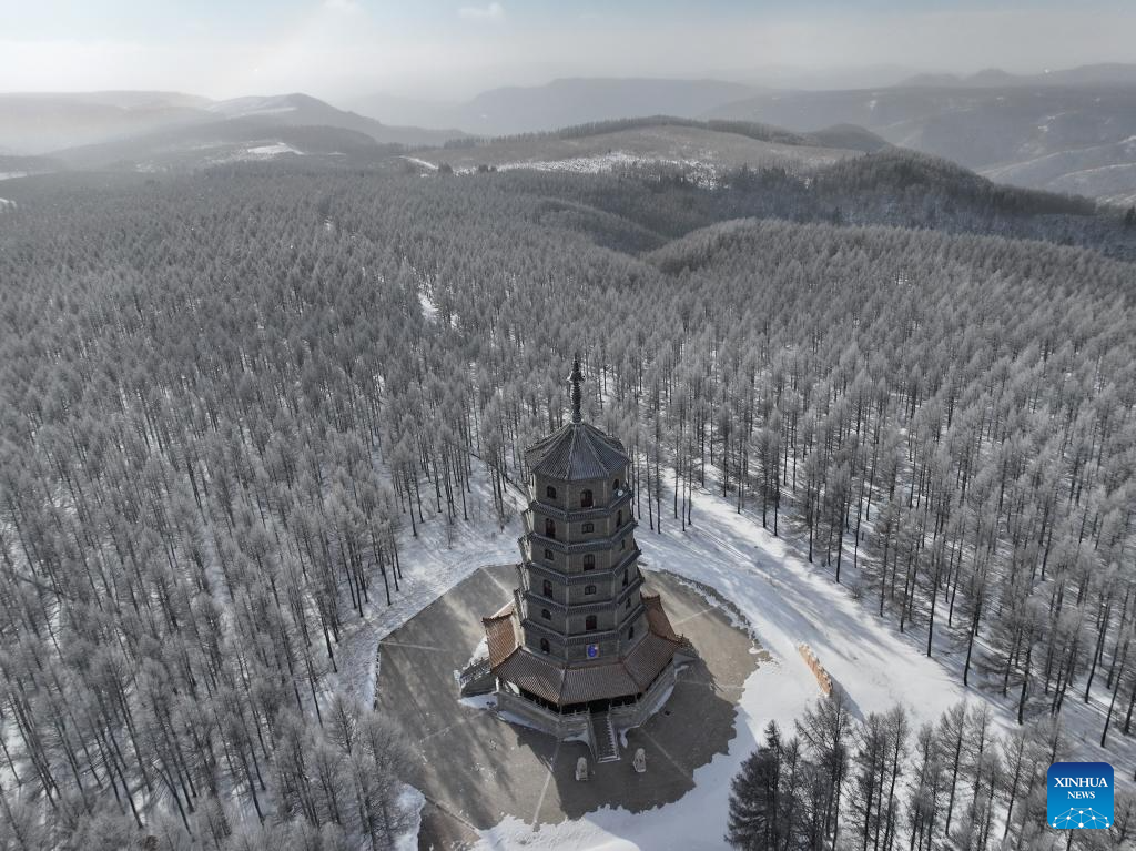 Winter view of Saihanba National Forest Park in N China