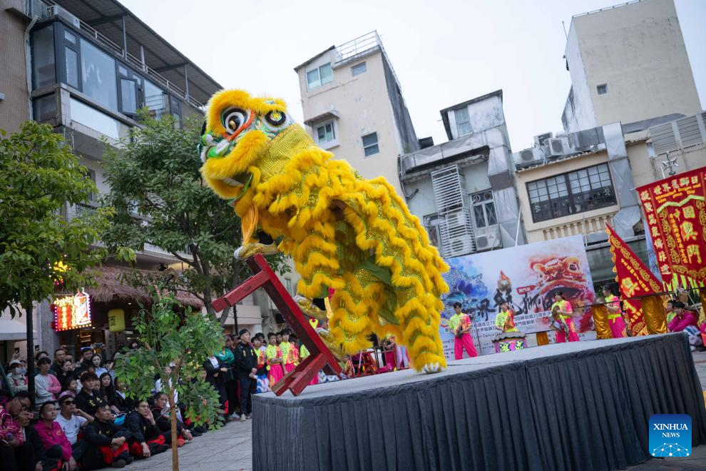 Int'l Dragon and Lion Dance Day marked in Macao