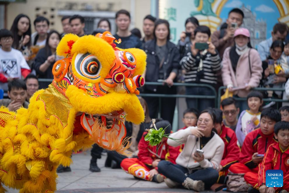 Int'l Dragon and Lion Dance Day marked in Macao