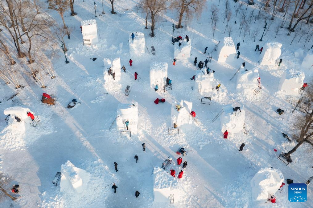 Rich ice and snow resources boost Harbin's winter tourism