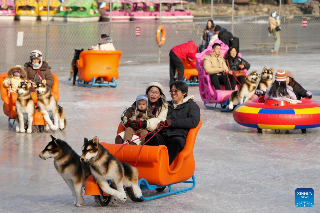 People have fun on ice rink at Tuanjiehu Park in Beijing