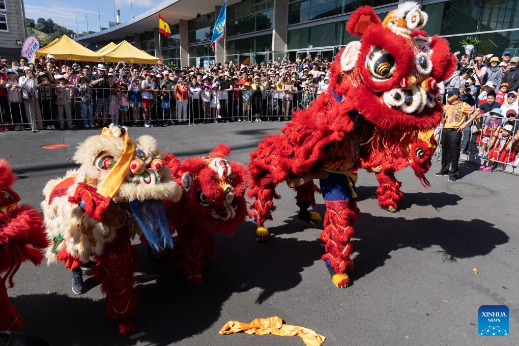 2025 Chinese New Year Festival and Market Day held in New Zealand