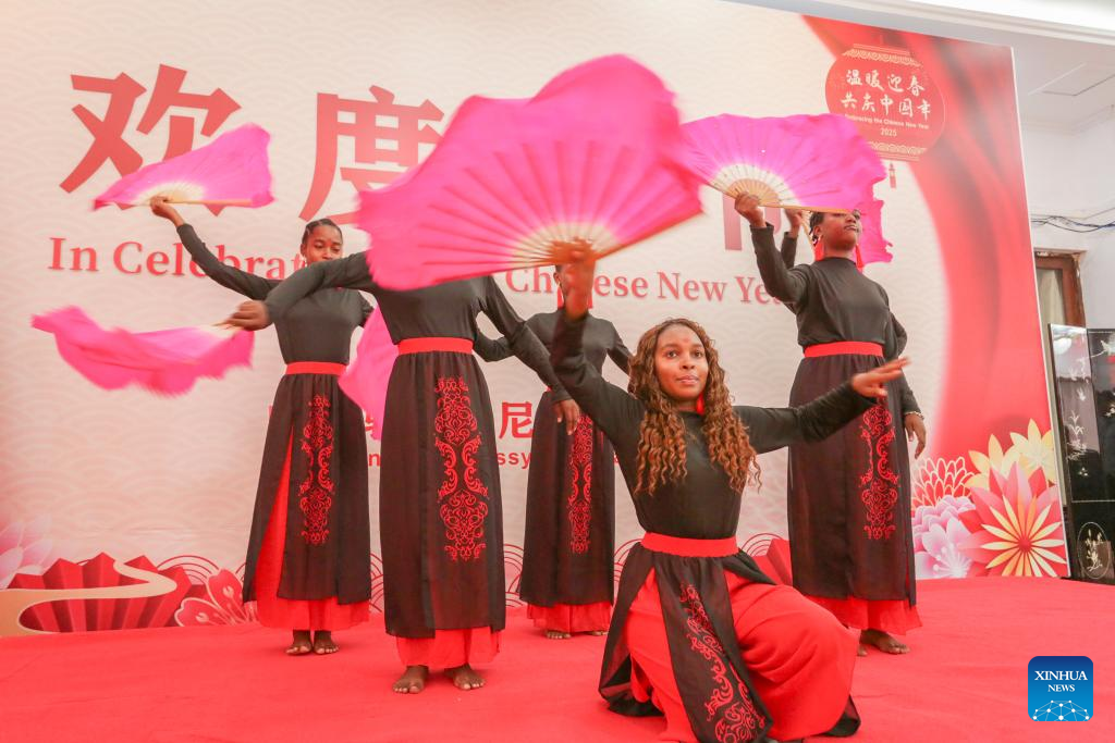 Tanzanians join Chinese in celebrating Spring Festival