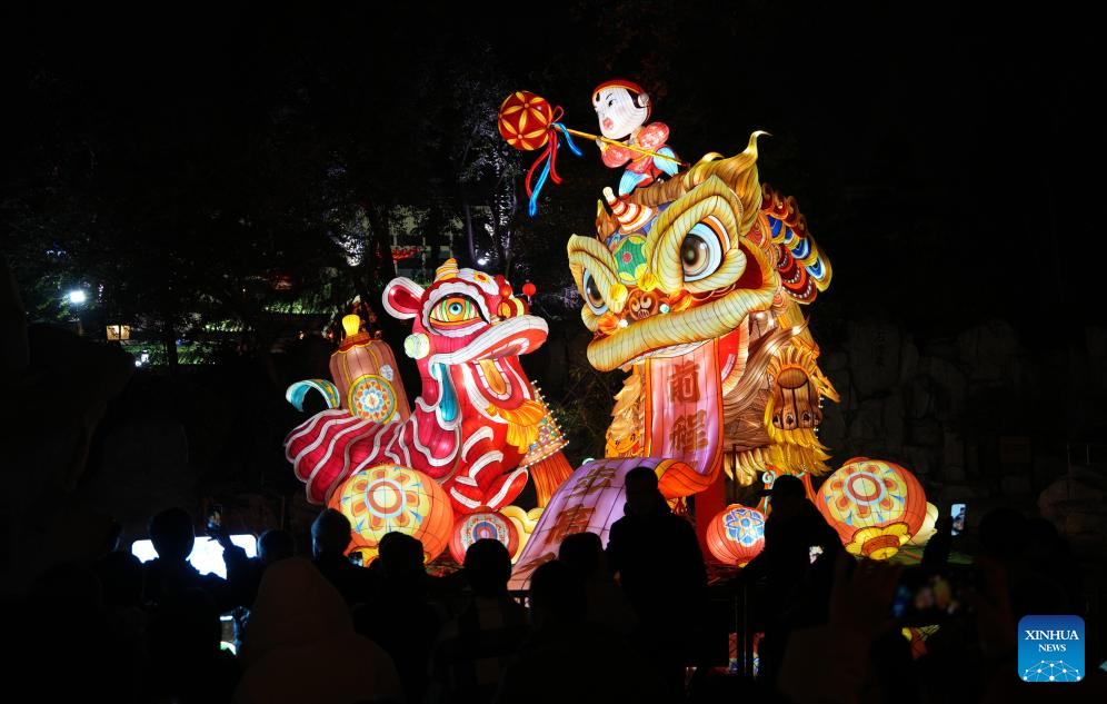 People enjoy various activities across China to celebrate Chinese New Year