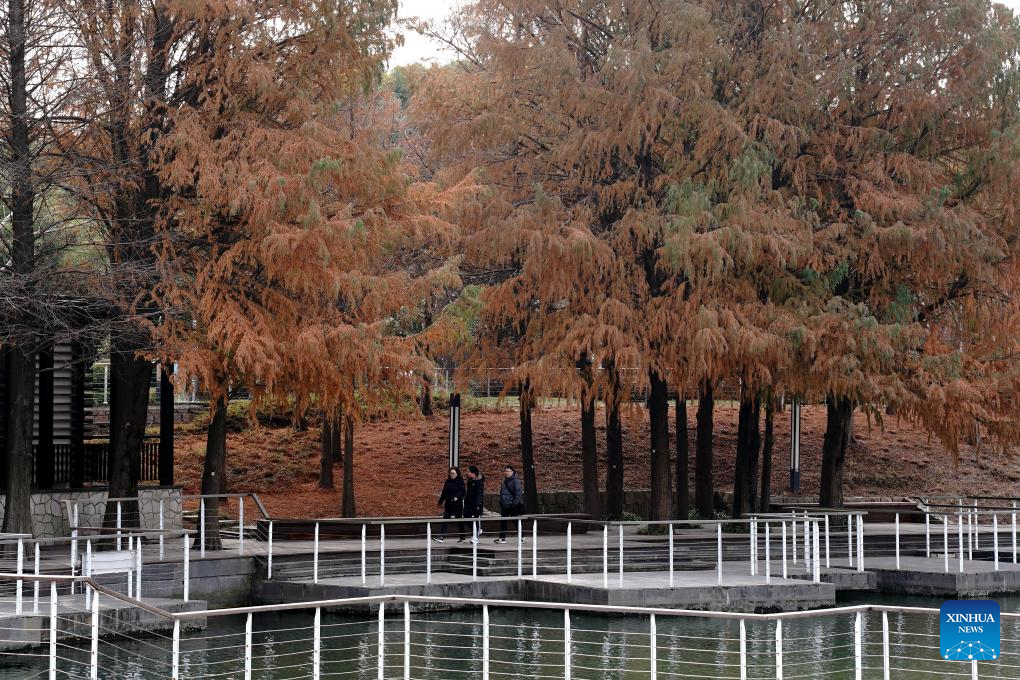 People enjoy Spring Festival holiday across China