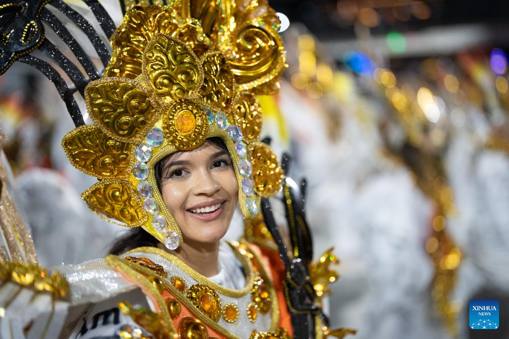 Parades of Rio Carnival 2025 held in Brazil
