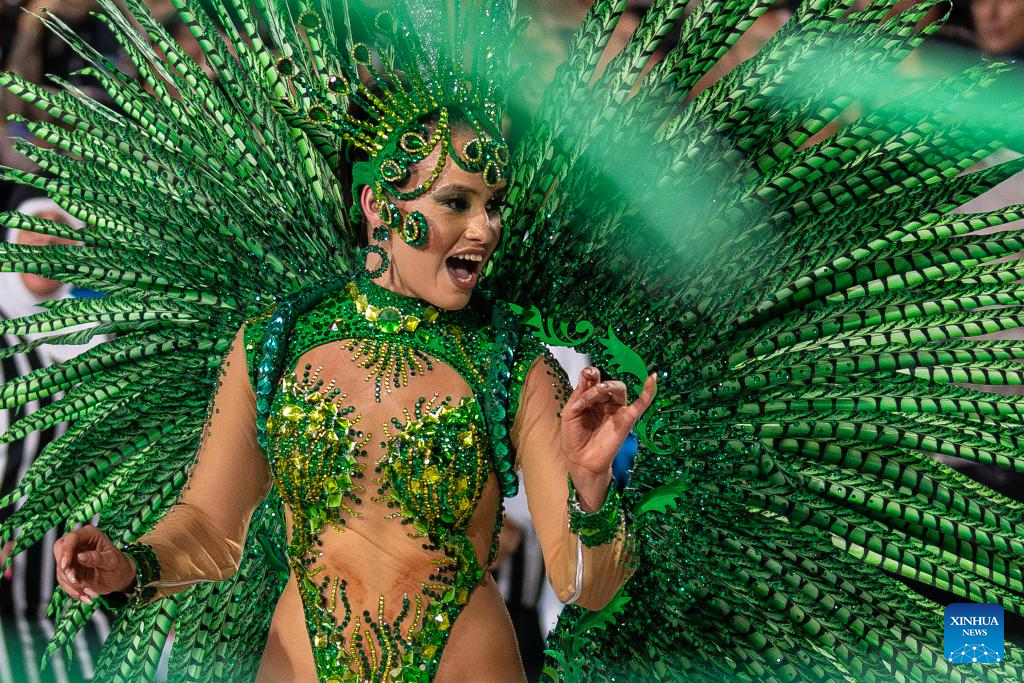 Parades of Rio Carnival 2025 held in Brazil
