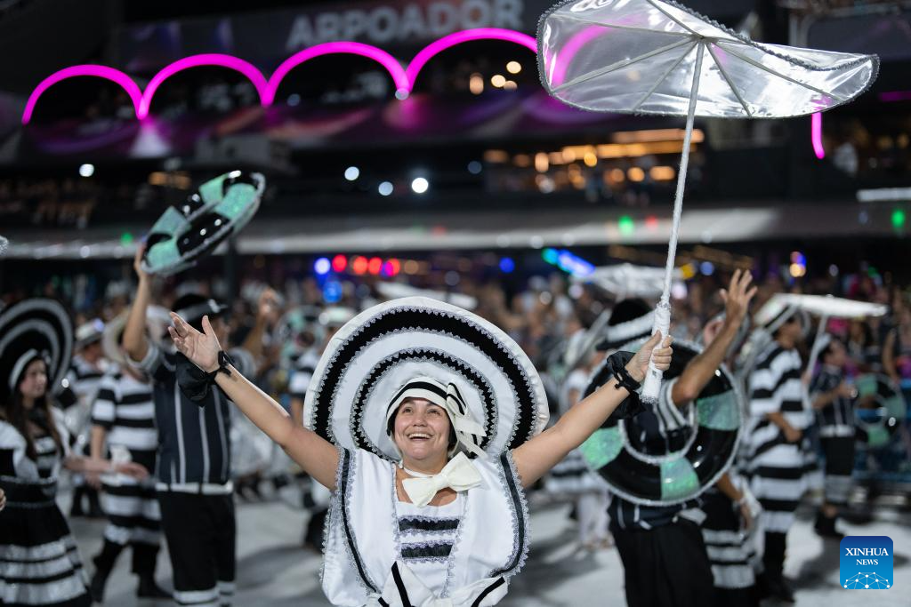 Parades of Rio Carnival 2025 held in Brazil