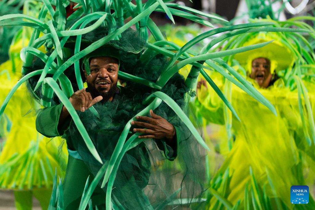 Parades of Rio Carnival 2025 held in Brazil