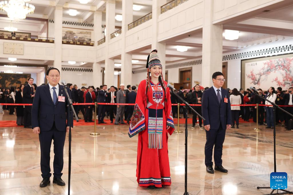 CPPCC members interviewed ahead of second plenary meeting