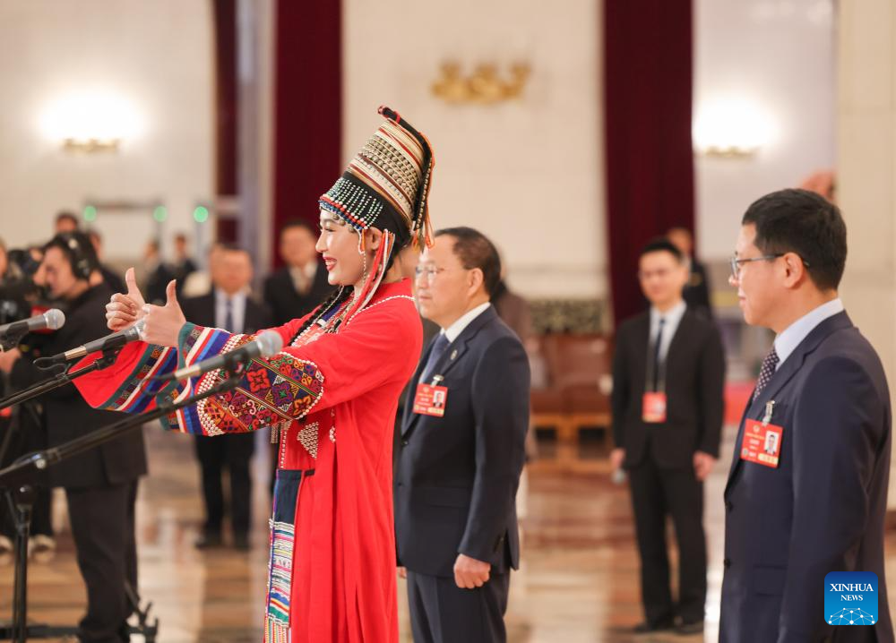 CPPCC members interviewed ahead of second plenary meeting